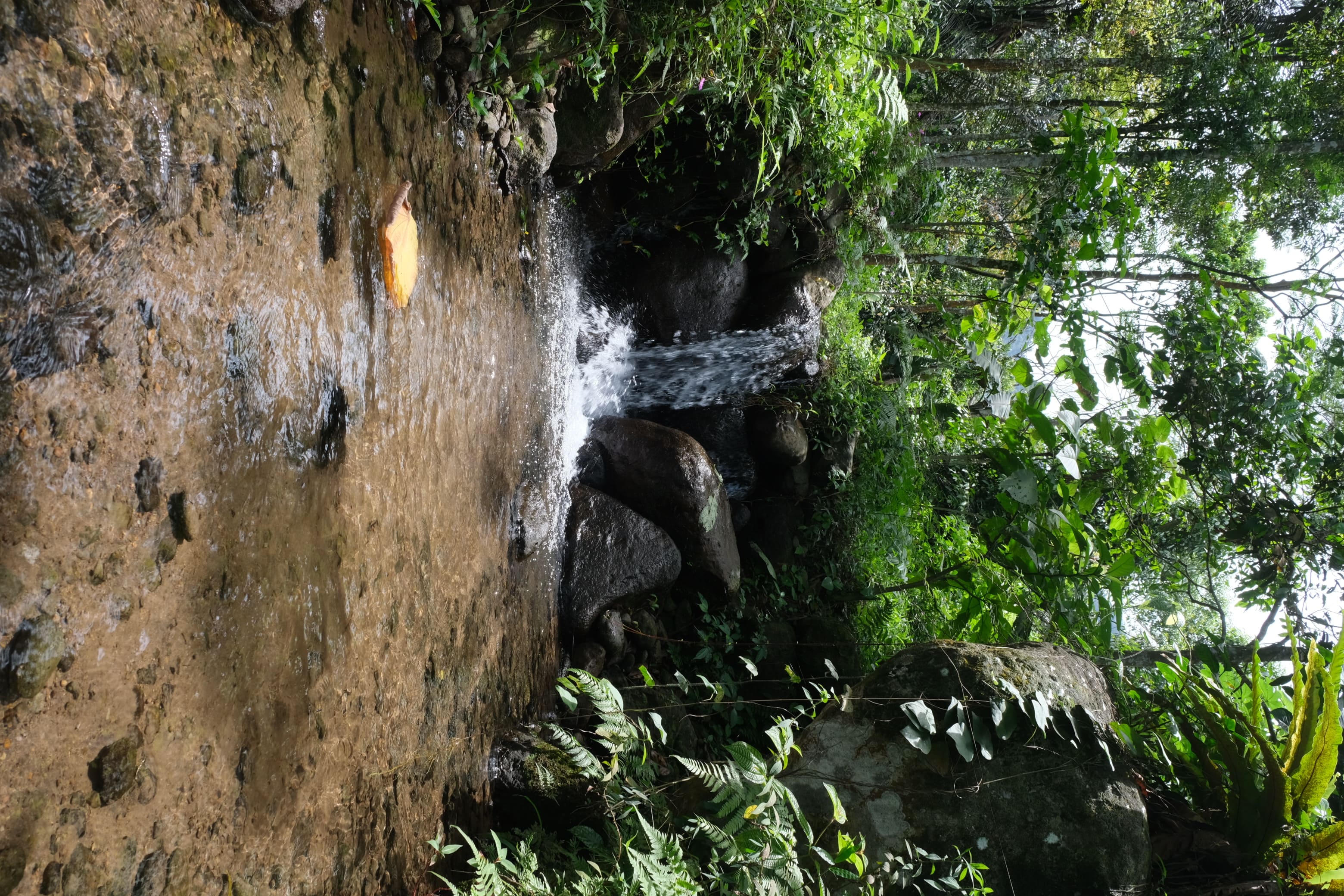 Air Terjun Kecil di Tengah Hutan